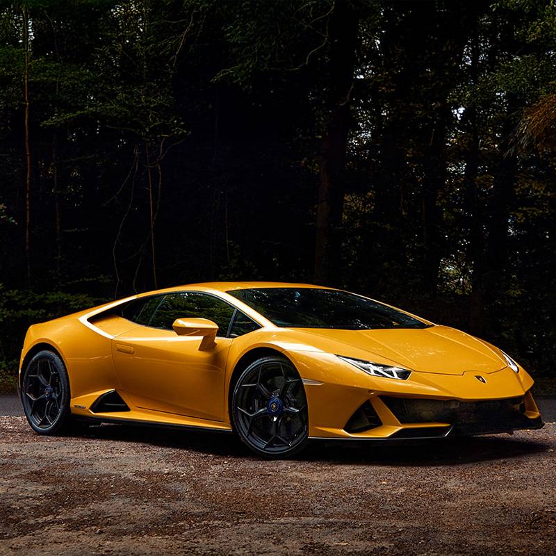 Exotic car rentals in Tampa